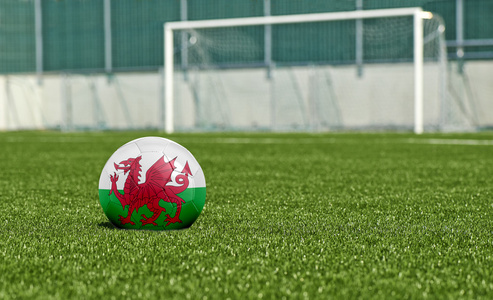 绿色的字段标志威尔士足球球
