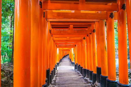 在日本京都的伏见 Inari 祠庙红托里门口