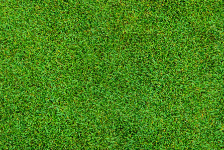 绿草模式从高尔夫