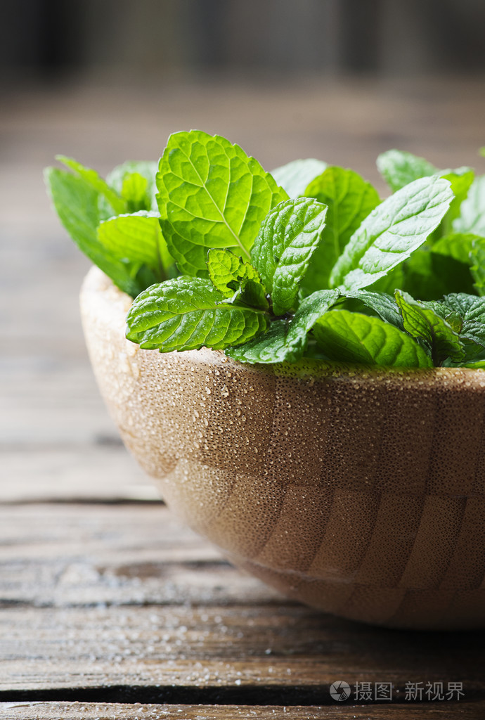 绿色新鲜薄荷照片-正版商用图片1mp8nm-摄图新视界