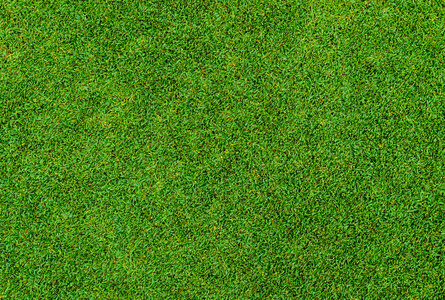 绿草模式从高尔夫