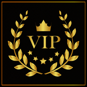 黑金线条贵宾卡会员卡图片