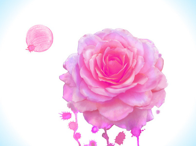 粉红色的玫瑰艺术