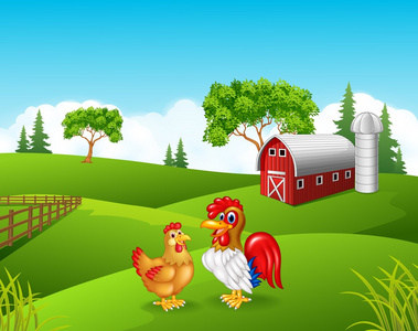可爱的鸡动画片里的农场图片