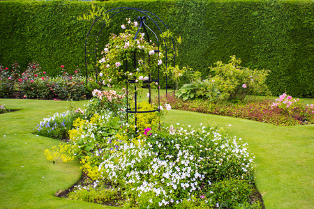漂亮的淡粉色玫瑰花园照片