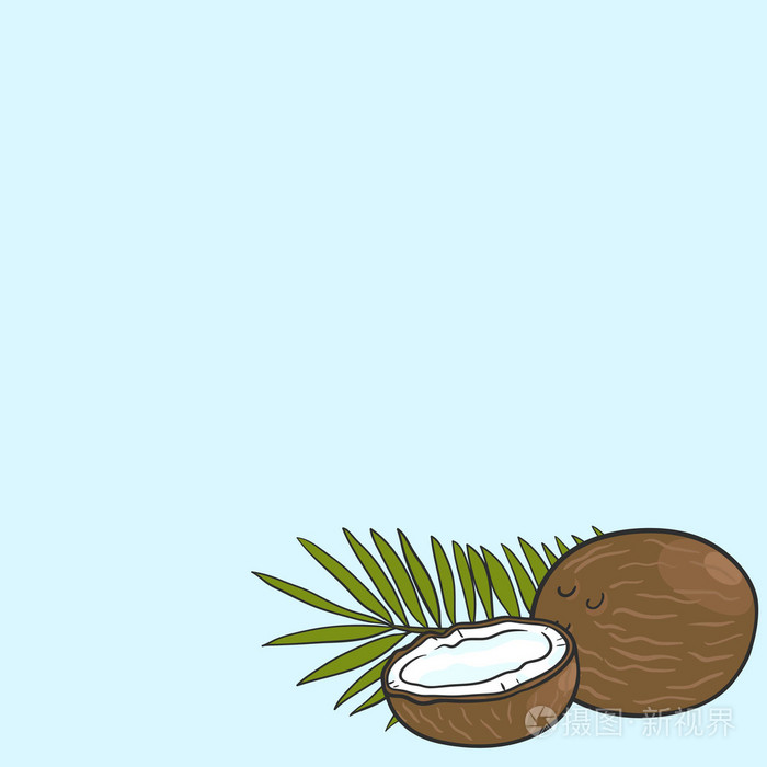用椰子和椰子树叶背景