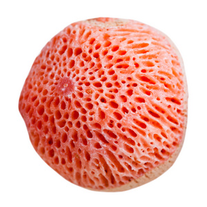 从粉红色海绵珊瑚宝石镶嵌