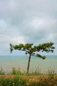 海景和天空中的云