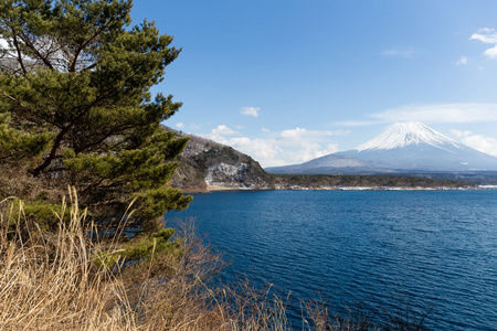 湖本栖湖与山富士