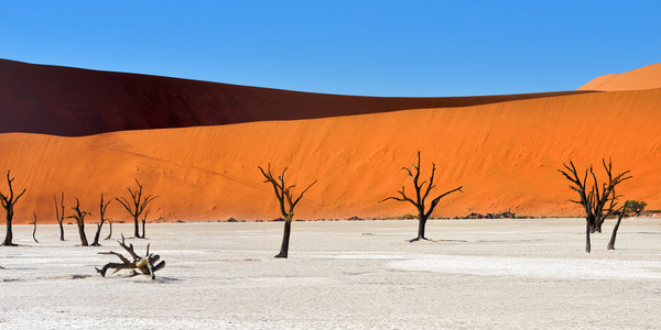 Deadvlei，苏斯。纳米比亚