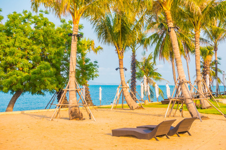 椰子树海滩图片