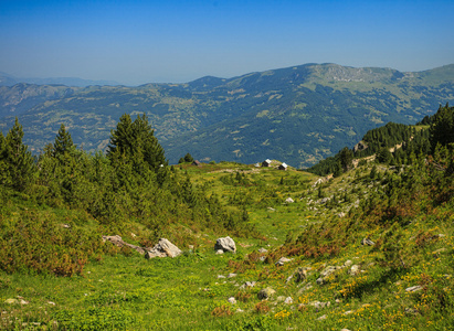 在访客山景观