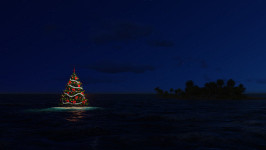 在一个热带岛屿上的圣诞树
