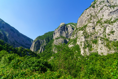 莫拉卡河和峡谷