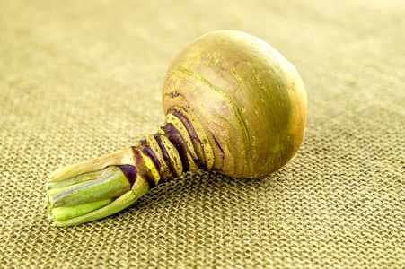 瑞典萝卜绿色茎的宏照片