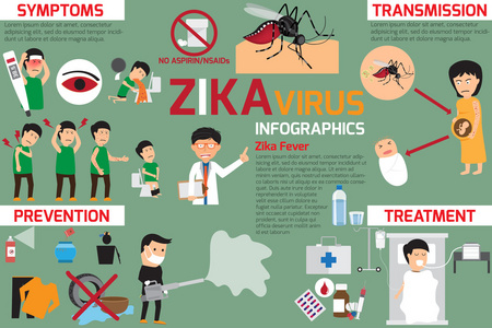 预防传输，Zika 病毒信息图表元素