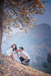 亚洲快乐年轻夫妇坐在黄色的树上