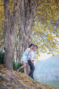 亚洲对幸福的夫妇站在树下面