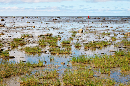 Solovki，俄罗斯白海海岸