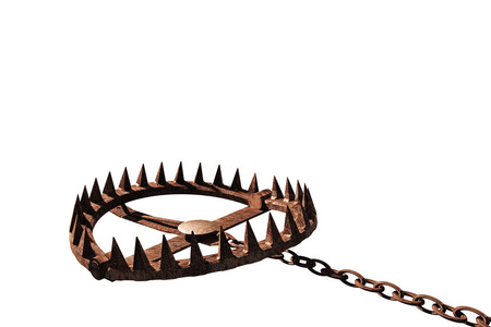 空头陷阱熊被隔绝在白色背景上的陷阱照片