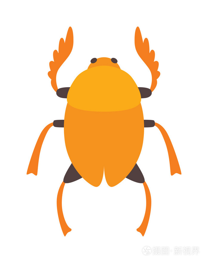 埃及scarab甲虫矢量插图
