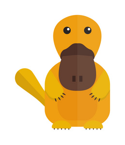 可爱的卡通鸭嘴兽澳大利亚野生动物哺乳动物动物扁虫照片