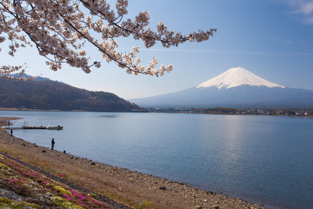 山富士山顶