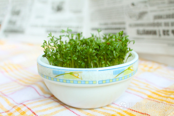 绿豆芽在手掌碗