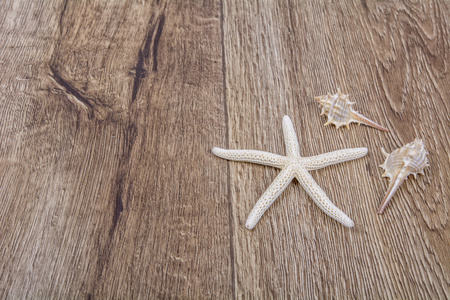 海星和壳上木制的背景