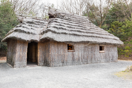 古屋茅草屋顶建筑的阿伊努人图片