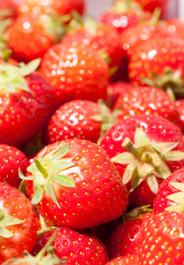 成熟的新鲜草莓