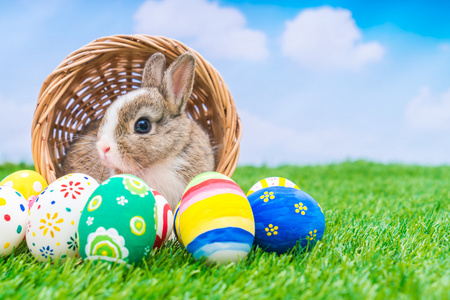 兔和复活节蛋