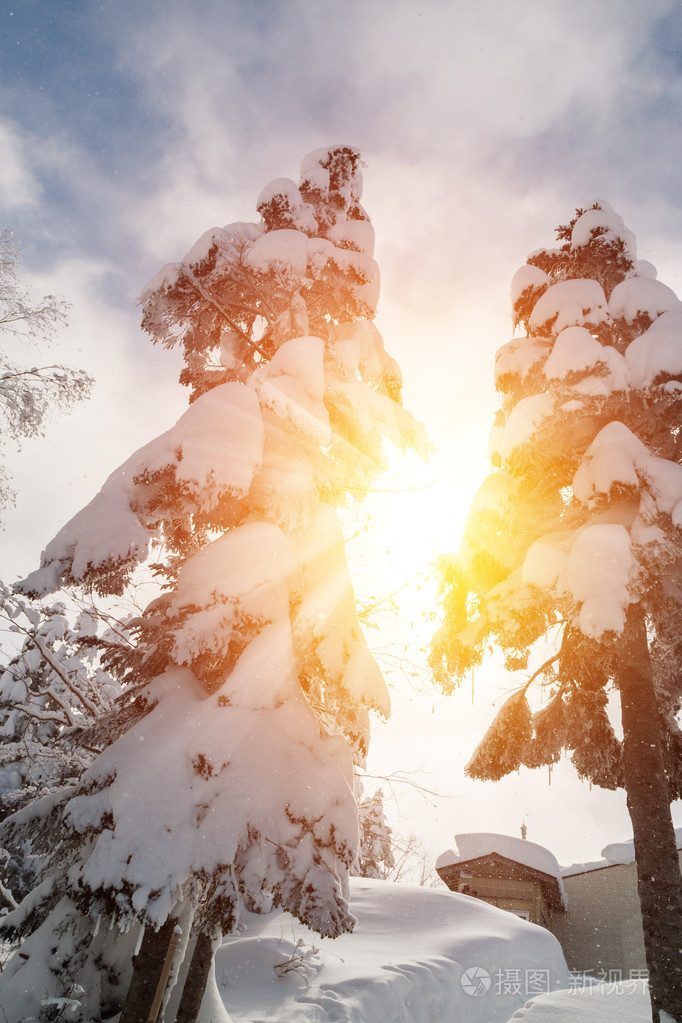 明媚的阳光,冬季降雪天
