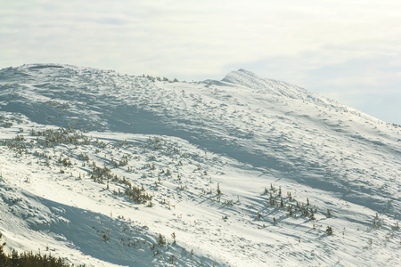 冬天大雪山风景