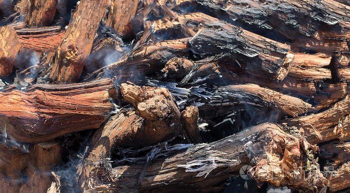 火中的藤蔓照片-正版商用图片1mqvxp-摄图新视界