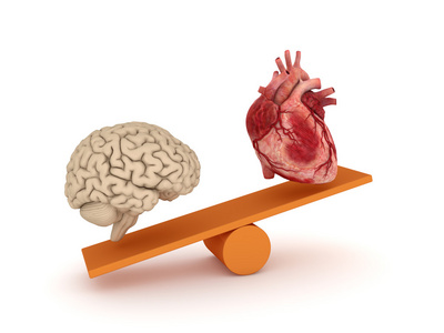 人的心脏和大脑