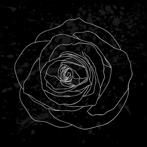 美丽的黑白玫瑰轮廓，在黑色上有灰色斑点