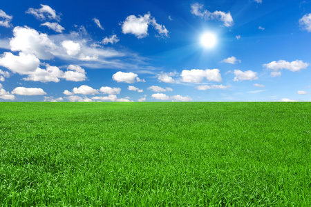 天空壁纸绿色图片