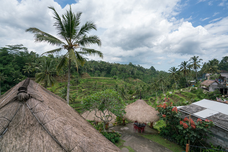 印度尼西亚巴厘岛图片
