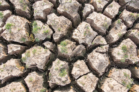 土地干涸图片