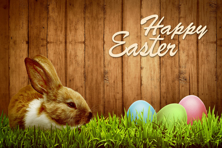 可爱的小兔子与草地上的彩蛋