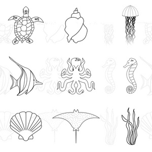 手绘海洋生物的孤立的白色背景上的现代单线条样式的集合。矢量黄貂鱼 水母 鱼 海马 八达通 贝壳 海藻 海龟图片