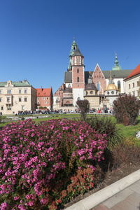 在波兰的克拉科夫城堡一个视图