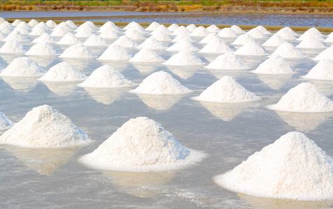 农业在泰国的盐