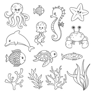 手绘海洋生物图片-手绘海洋生物素材-手绘海洋生物插画-摄图新视界