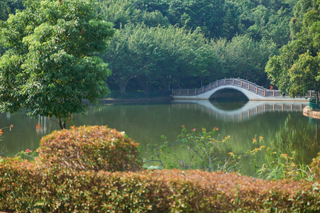 绿色装饰公园