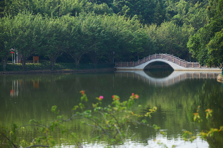 绿色装饰公园