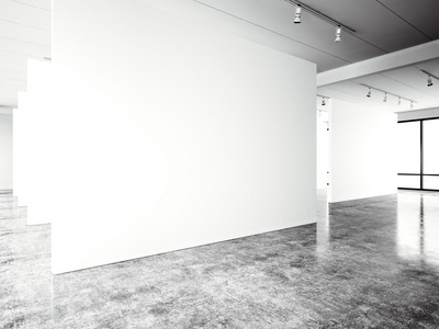 博览会现代画廊开放空间。 空白白空帆布c