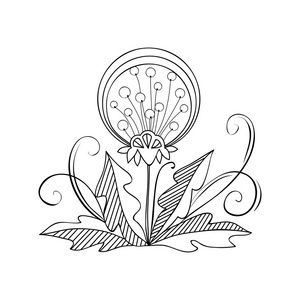 孤立的黑白轮廓的抽象花图片