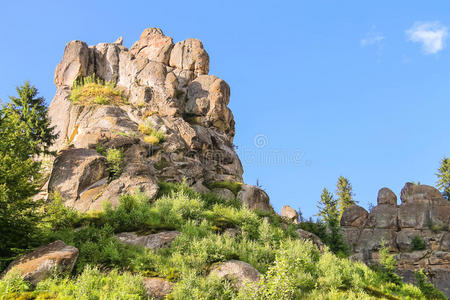 松木 环境 森林 植物 岩石 天空 欧洲 风景 卡帕蒂 美丽的